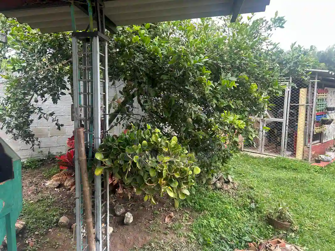 Casa Campestre El Dorado